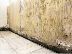 derwesten.de Baygeldi