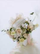 fs-premier.jp Bbonita