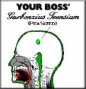offtheboss.com Bbran