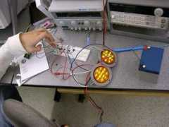 web.uvic.ca Bbtest