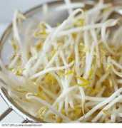 Beansprout