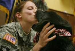 republicansforobama.org Beberg