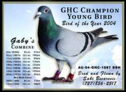 sakisloft.com Becarevic