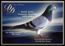 sakisloft.com Becarevic