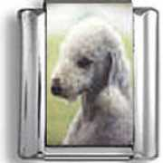 1000photocharms.com Bedington