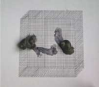 trendbeheer.com Bekirovic