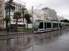 tunisia-live.net Belgasmi