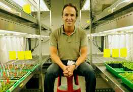 derstandard.at Belkhadir