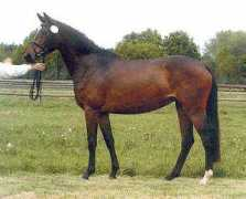 Bellalu