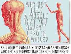 typeart.com Bellamie