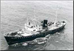 arendnet.com Bellatrix