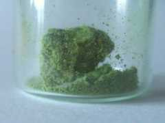 tw.strahlen.org Belloit