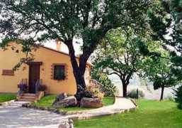 primitaly.it Bellumori