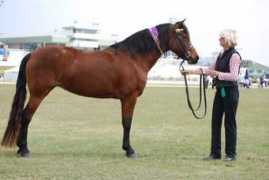 wilgaparkmorgans.com.au Belmarie