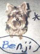 Benji