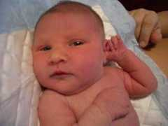 homebirth.org.uk Berlow