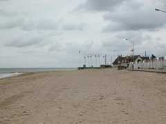 album.oiseau-libre.net Berniere