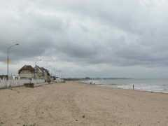 album.oiseau-libre.net Berniere