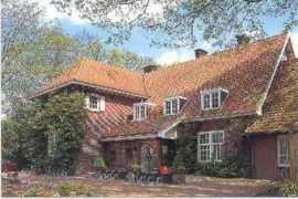 wildlife-art.nl Bernink