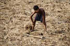 bildes.n3po.com Bernu