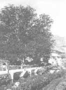 Beshirova