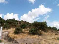 archeologosardos.it Betgen