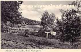 Betsche