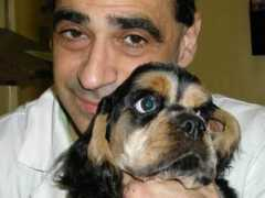 beverlieanimalhospital.com Beverlie