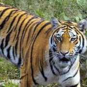 industrialtour.com Bhudara