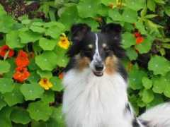 martikka.com Biancan