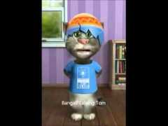 article.wn.com Bibahito