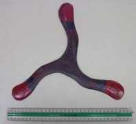 koolloos.com Biemolt