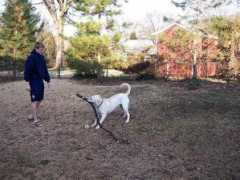 Bigstick
