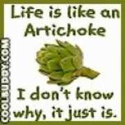 stupidvideos.com Billybobjoe