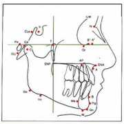 cleber.com.br Bimler