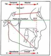 cleber.com.br Bimler