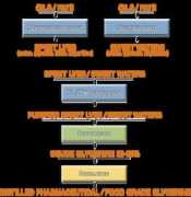 binacchi.com Binacchi