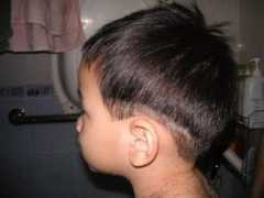 Bincut