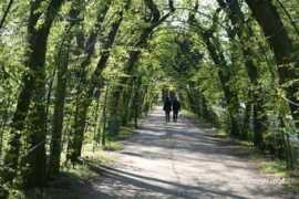 en.odleglosci.pl Bindaz
