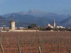 panoramio.com Binissalem