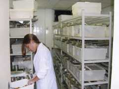 urogenitalresearch.org Bioterio