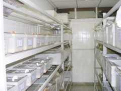 urogenitalresearch.org Bioterio