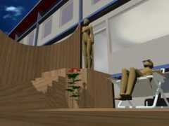bthj.is Birdia