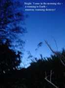 cosmopoetry.ro Birlan