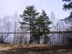 radzima.org Biruli