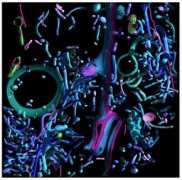 artofscience.caltech.edu Bjorkman