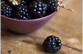 foodista.com Blackberries