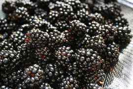 savorysweetlife.com Blackberries