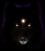 Blackwolf