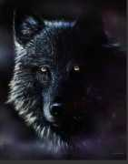 Blackwolf